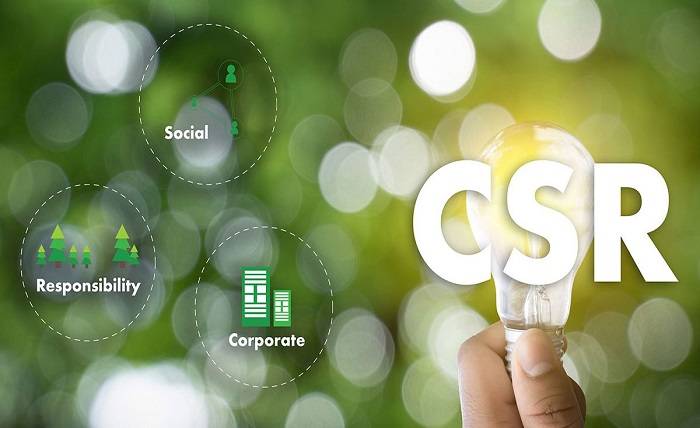 What Is CSR And Examples 